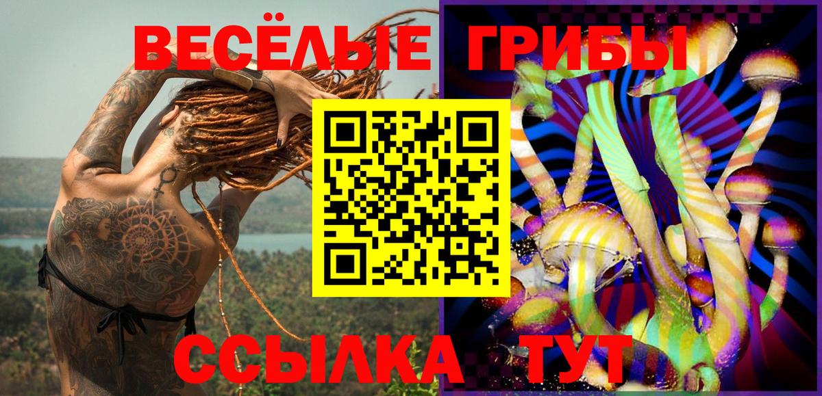 Котлас  Галлюциногенные грибы Cubensis  Вход с VPN 
